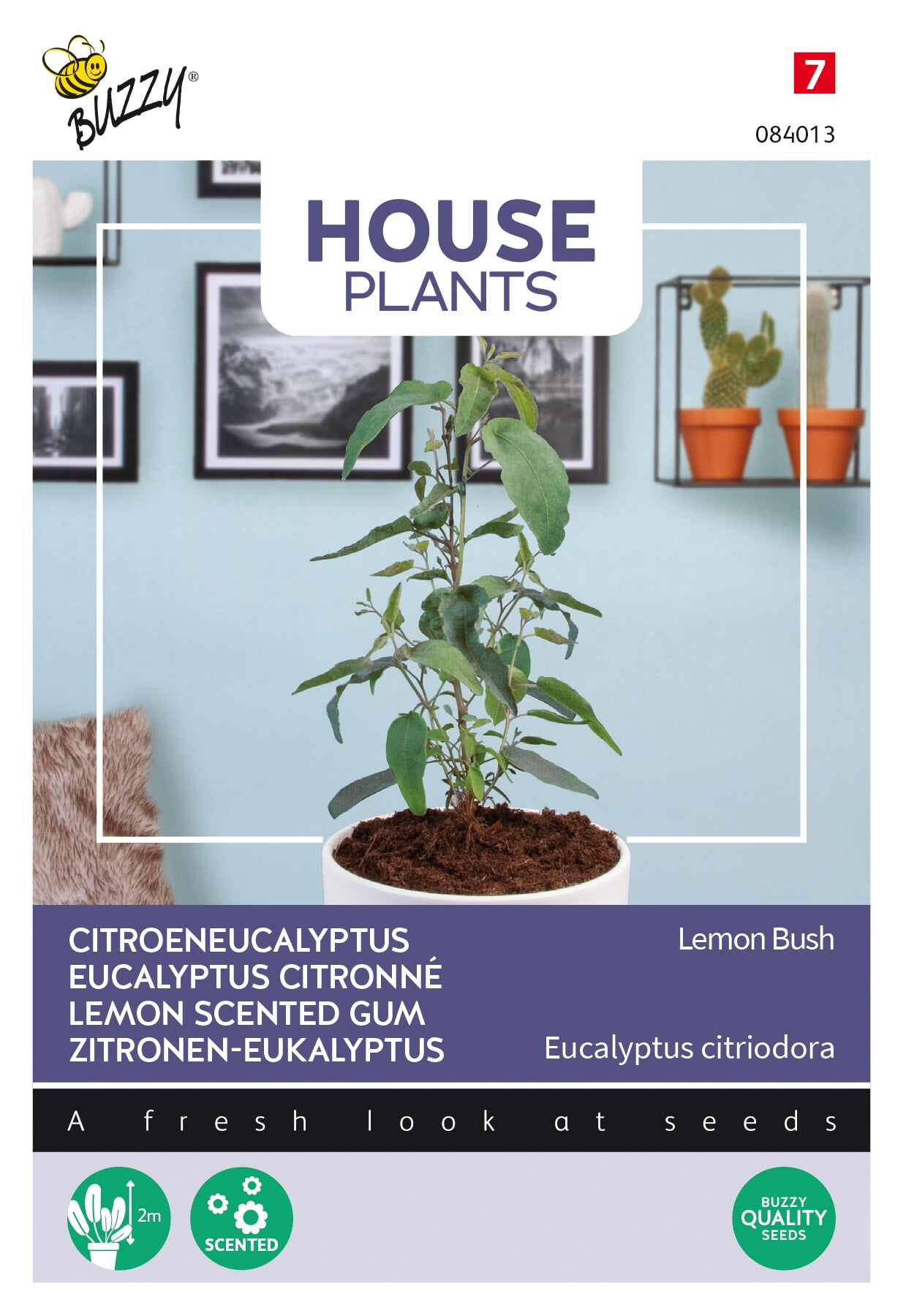 Citron-eukalyptus-fröpåsens framsida med gröna, kapeita blad.