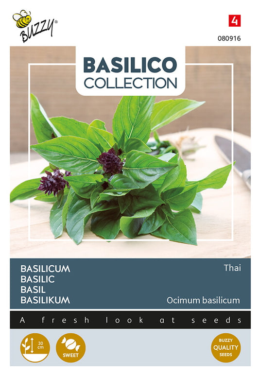 Thaibasilika – Buzzy Seeds fröpåsens framsida thaibasilikans bildlla